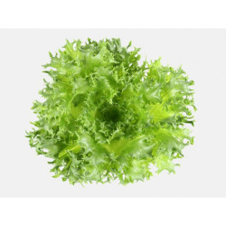 （中秋預購）綠捲200g
