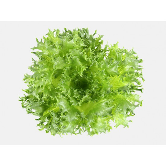 （中秋預購）綠捲200g