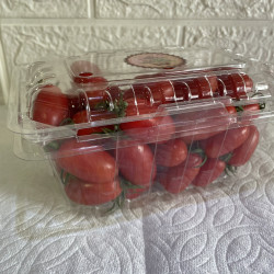 玉女溫室小番茄