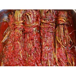 韓國小菜 蔥泡菜 500g