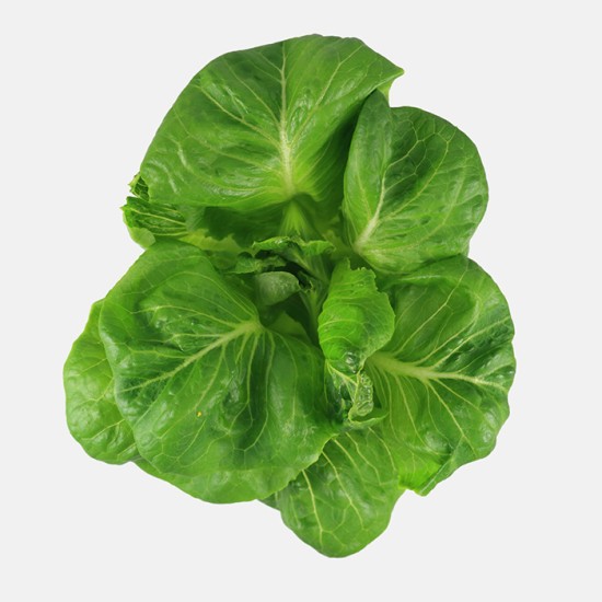 甜萵苣 200g